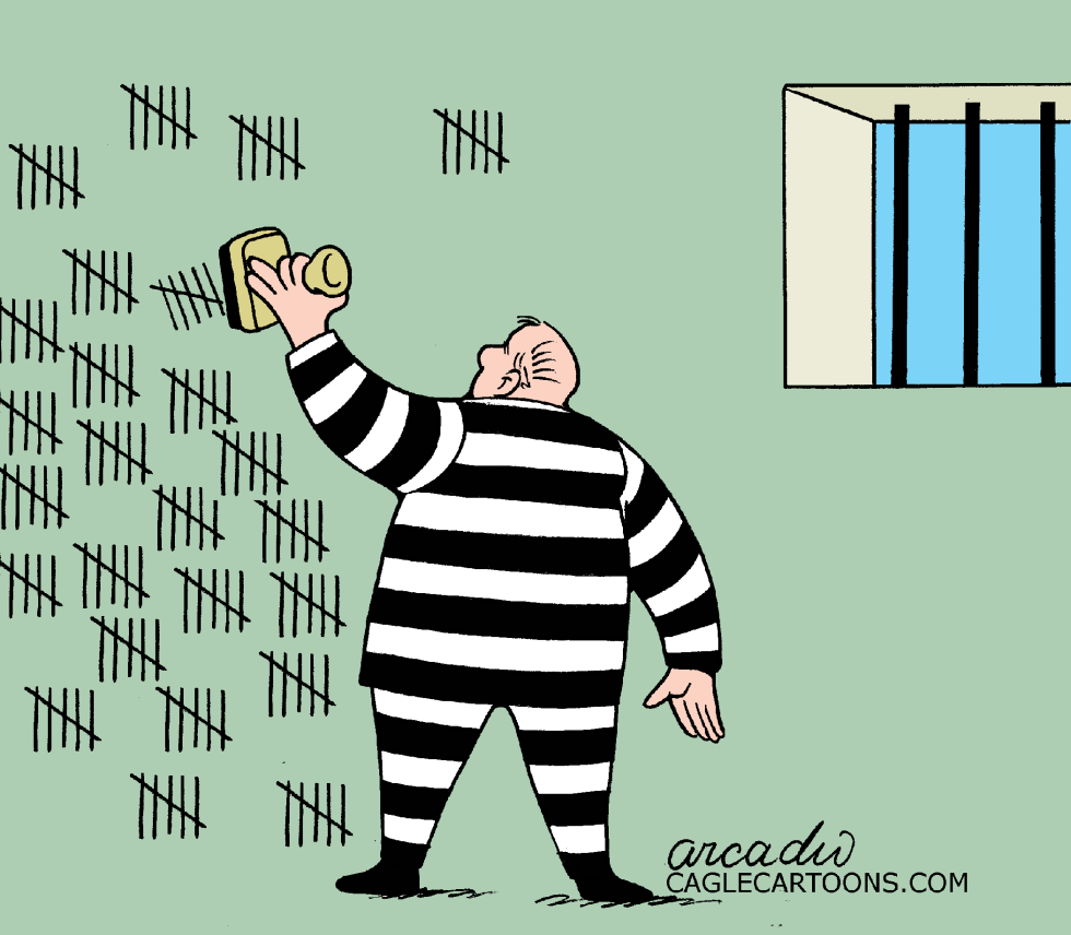 Practical Prisoner- COLOR