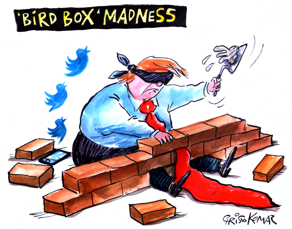 BirdBox challenge