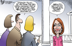 PELOSI ON HARSH LANGUAGE by Bruce Plante