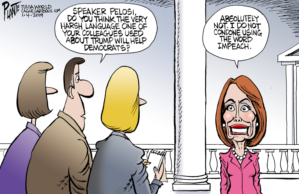 Pelosi on harsh language