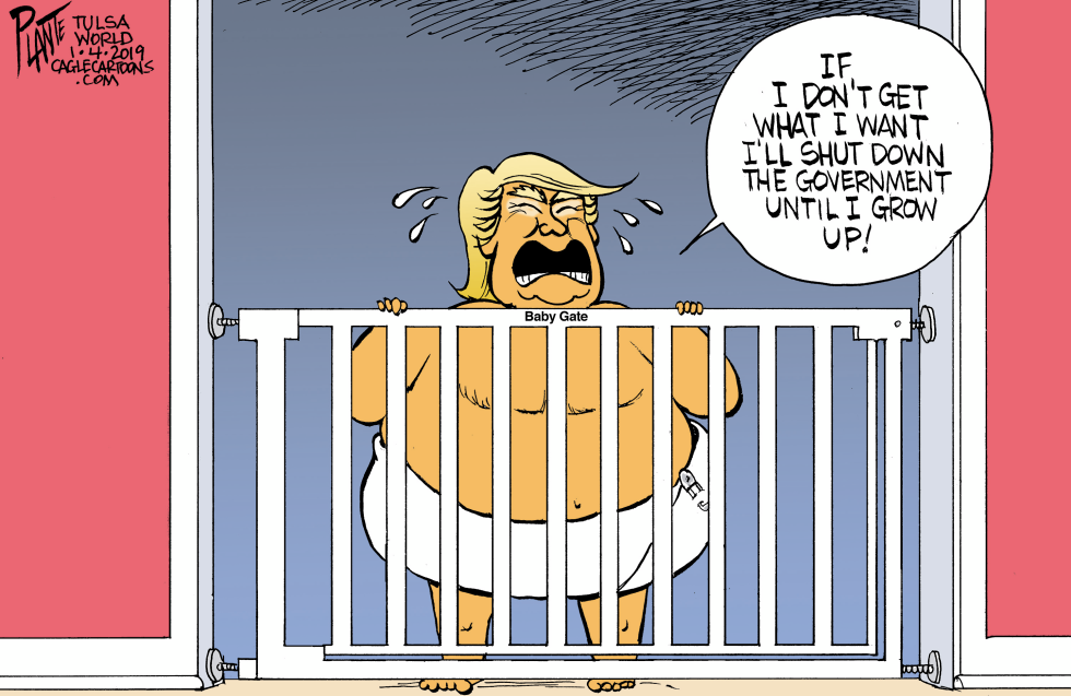 Trump and the Baby Gate