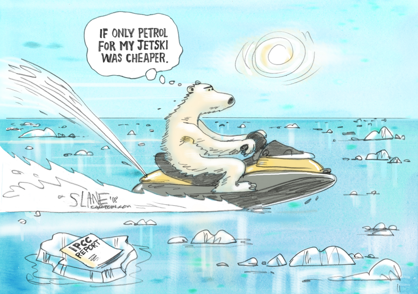 Polar Bear On A JetSki