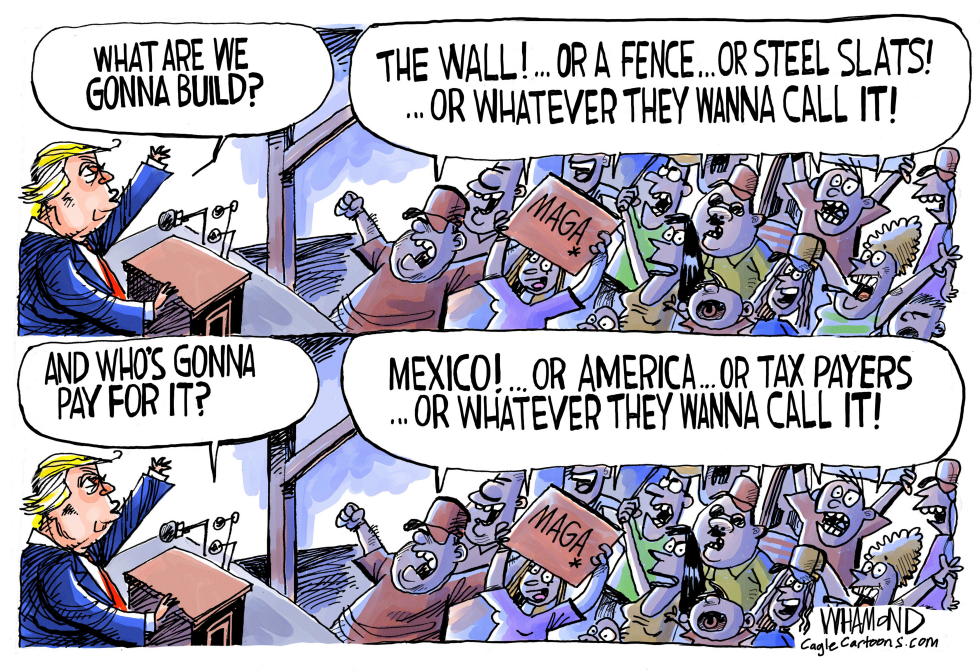  BUILD THE WALL by Dave Whamond