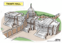 TRUMP WALL DIVIDES CONGRESS by R.J. Matson