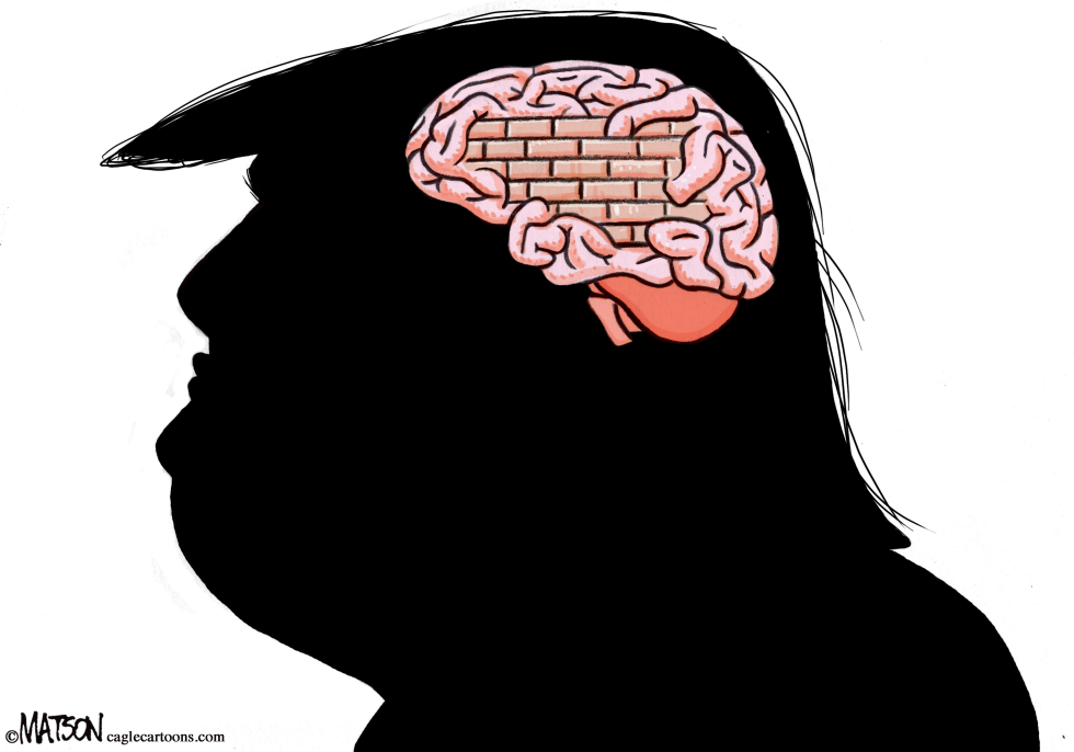  TRUMP BRAIN WALL by RJ Matson