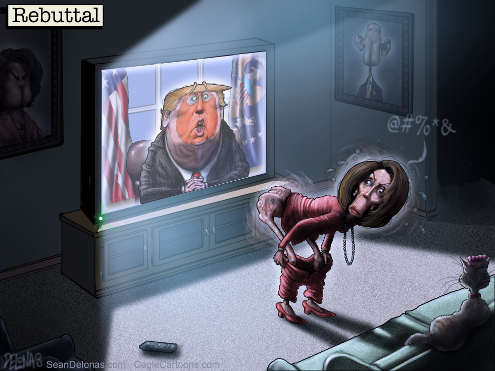  TRUMP PELOSI by Sean Delonas