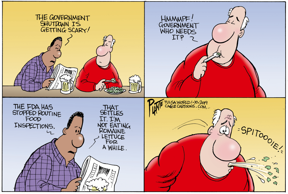 Who needs government