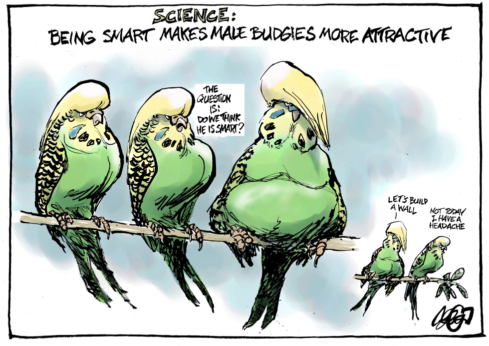  SCIENCE MAGAZINE THIS WEEK by Jos Collignon