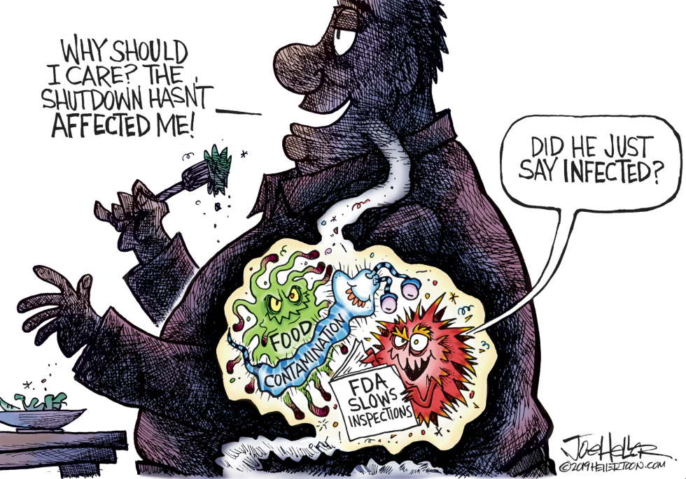 FDA Shutdown