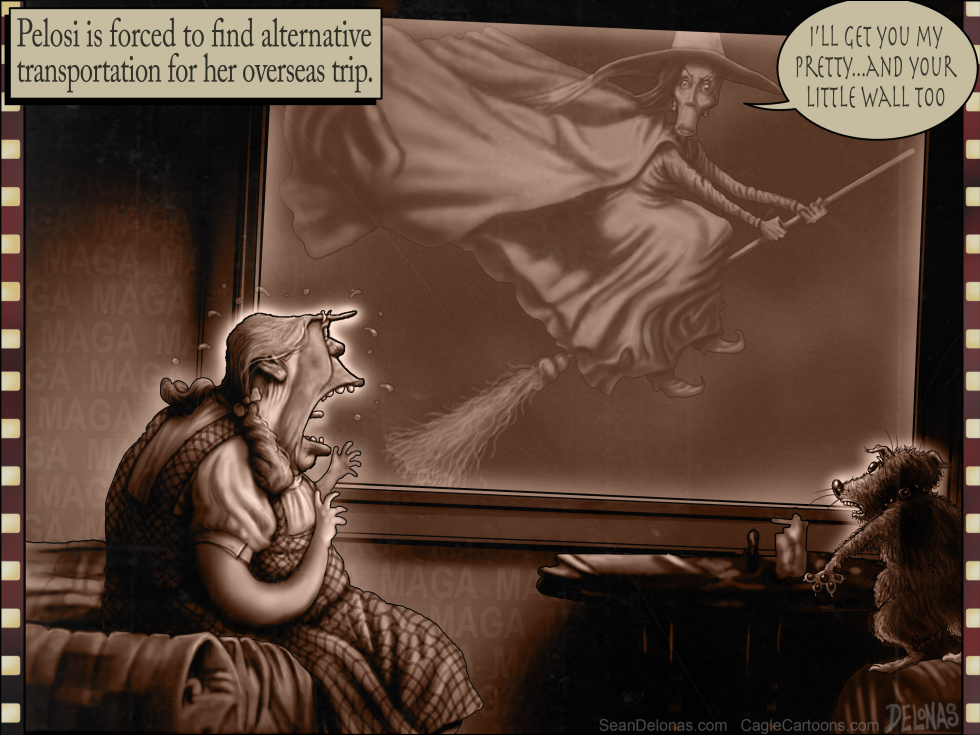 Trump Pelosi Witch