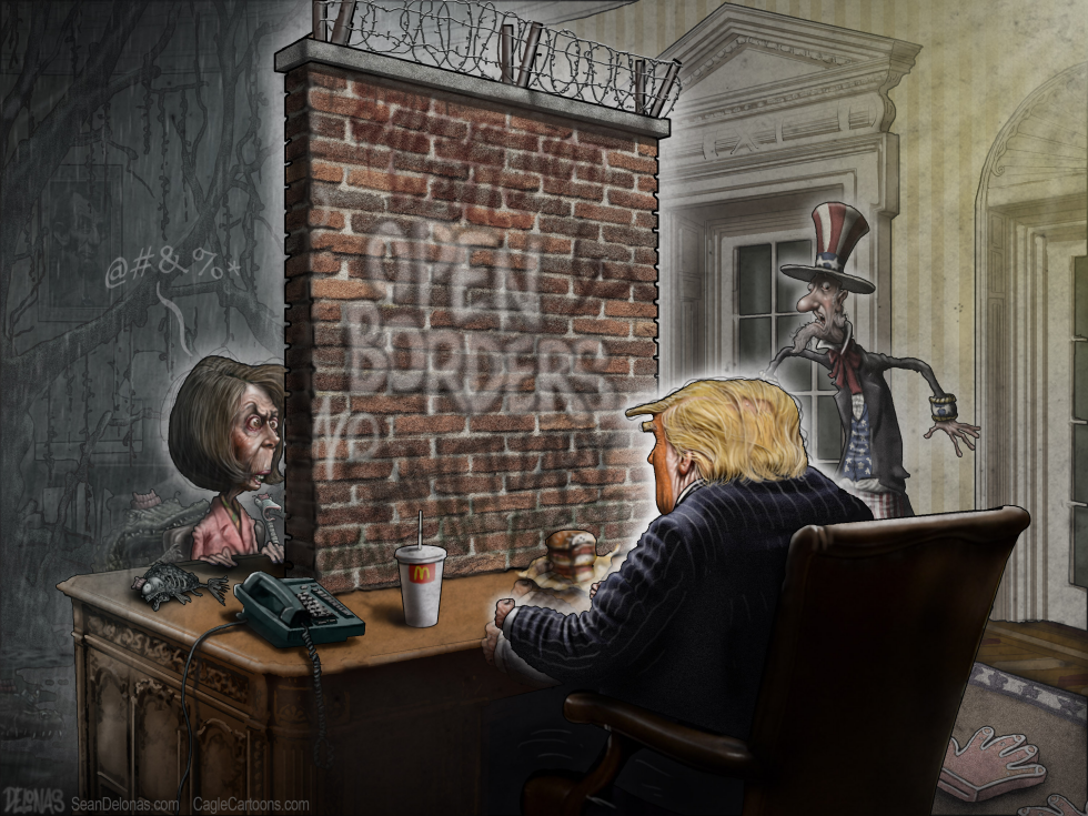  WALL TRUMP PELOSI by Sean Delonas