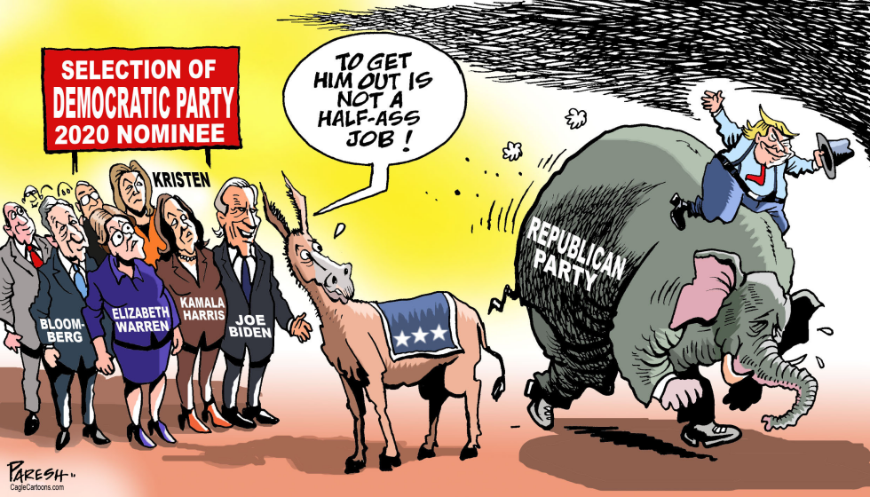 Democratic Party nominee