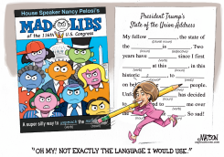 NANCY PELOSI MAD LIBS by R.J. Matson