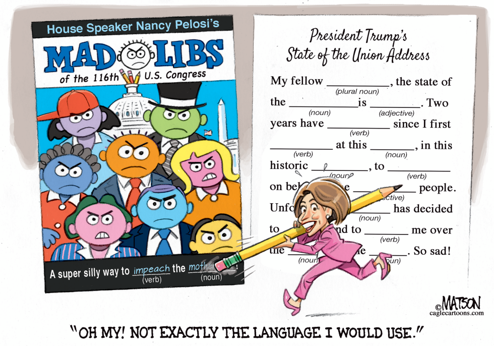 Nancy Pelosi Mad Libs