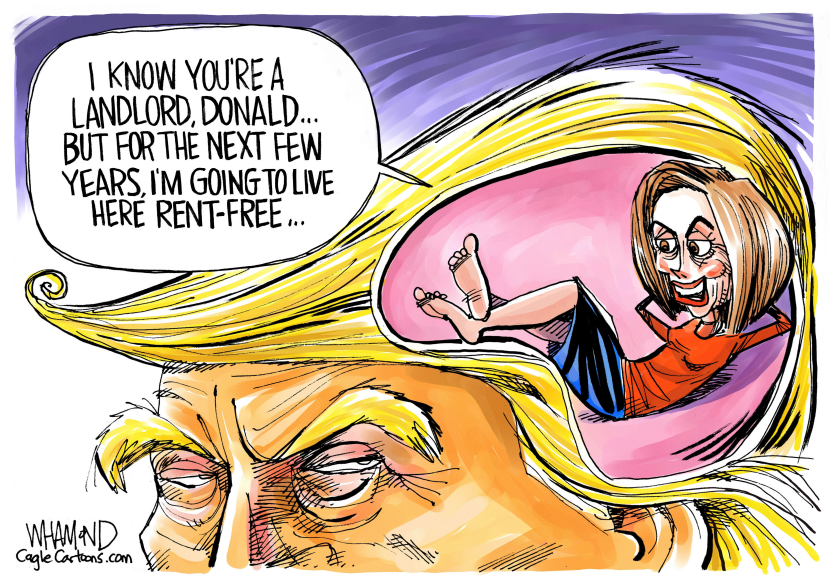 Pelosi On The Brain