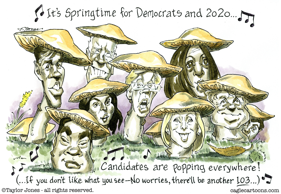  SPRINGTIME FOR DEMOCRATS by Taylor Jones