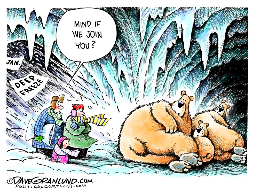  JANUARY ARCTIC BLAST by Dave Granlund