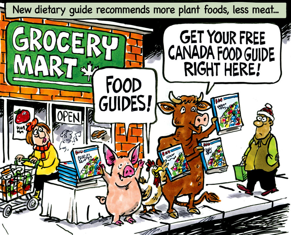 Food Guide