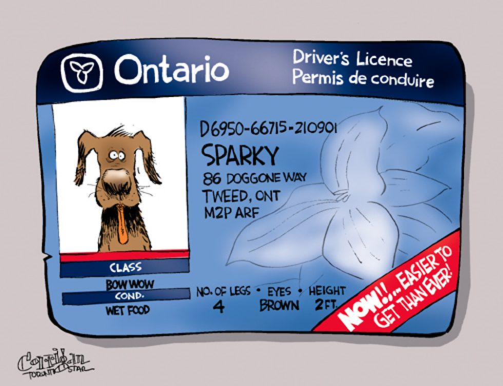Ontario licence easy to get