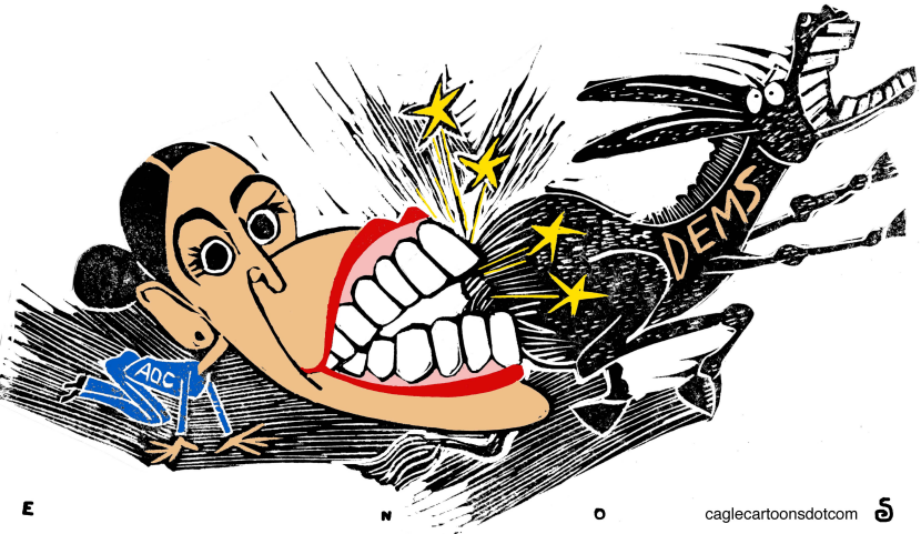 Wake Up Call