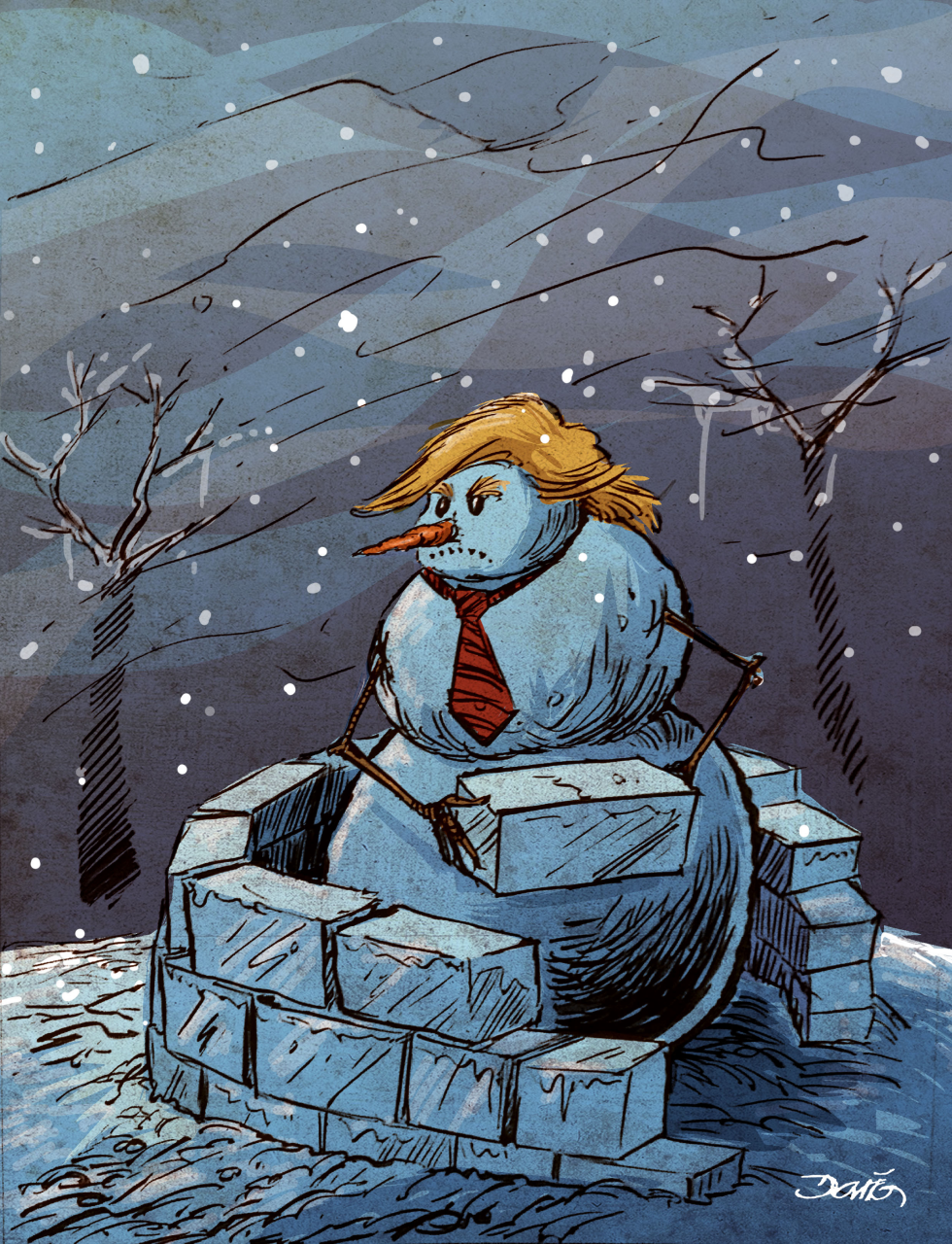 Polar Vortex Trump and Wall