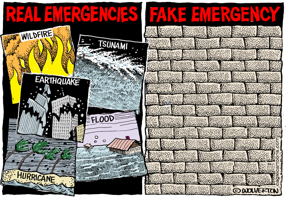 Fake Emergency Wall