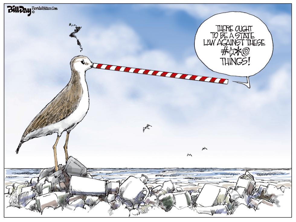 Plastic Straws Are For The Birds