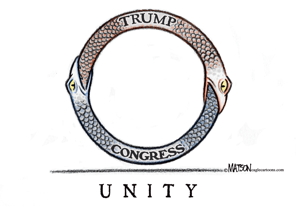 Trump Congress Unity