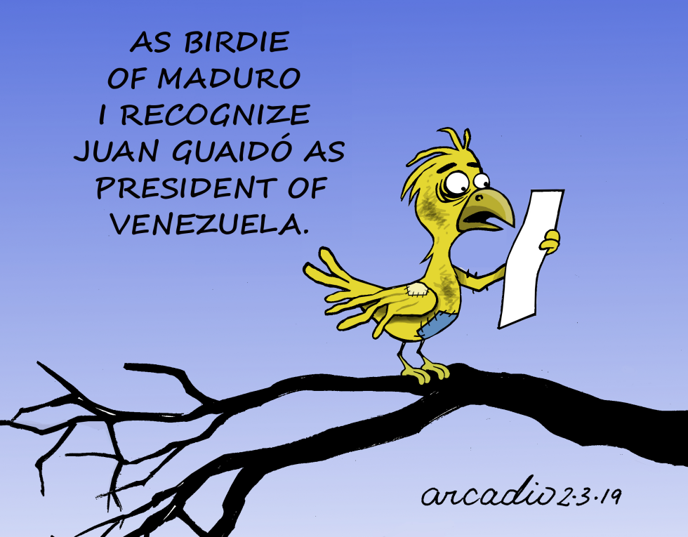  MADURO BIRDIE by Arcadio Esquivel