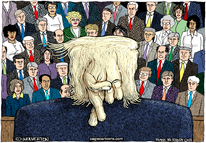 SOTU Untruths