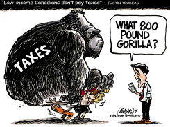 TAX GORILLA by Steve Nease