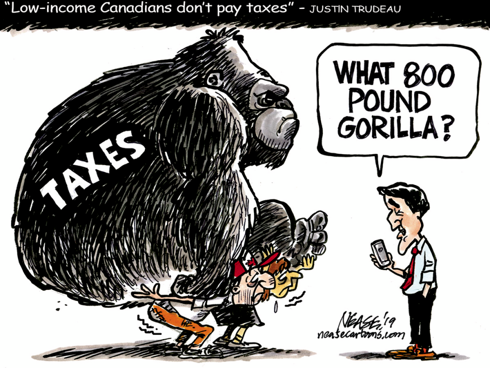 Tax Gorilla