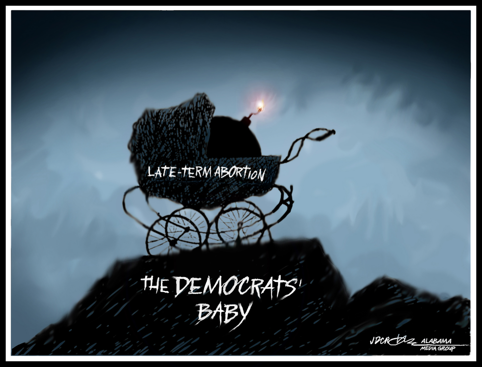 Democrats Baby