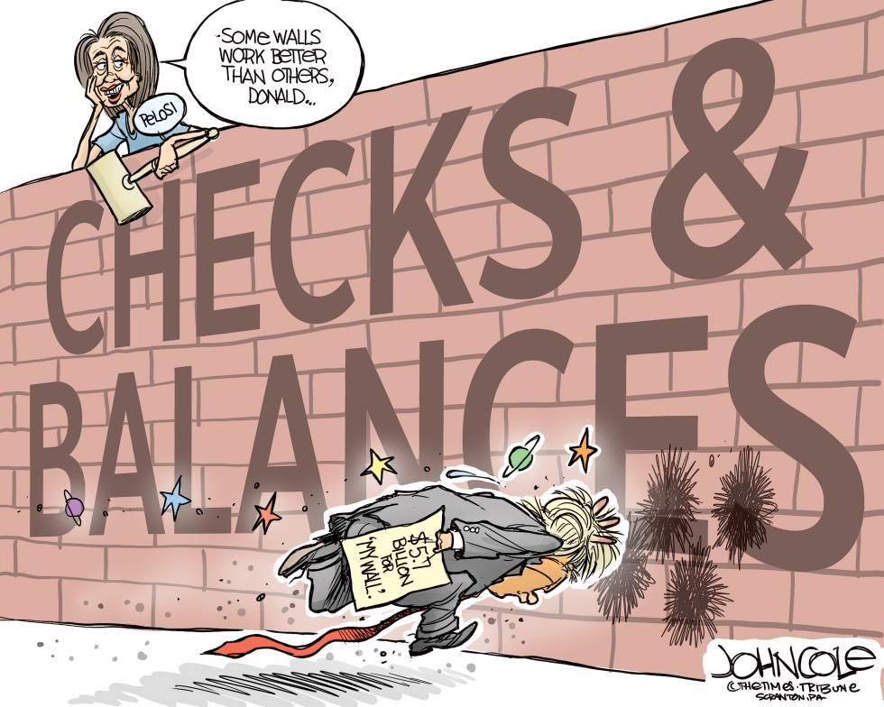  PELOSI'S WALL by John Cole