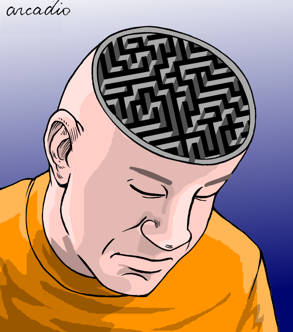 Laberinto brain