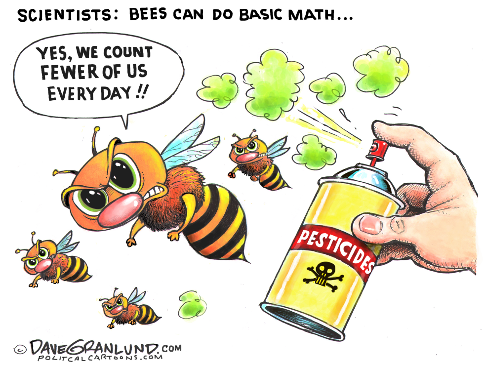  BEES CAN DO BASIC MATH by Dave Granlund