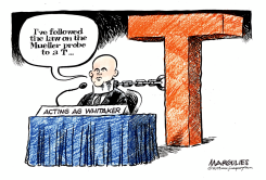WHITAKER HEARING by Jimmy Margulies
