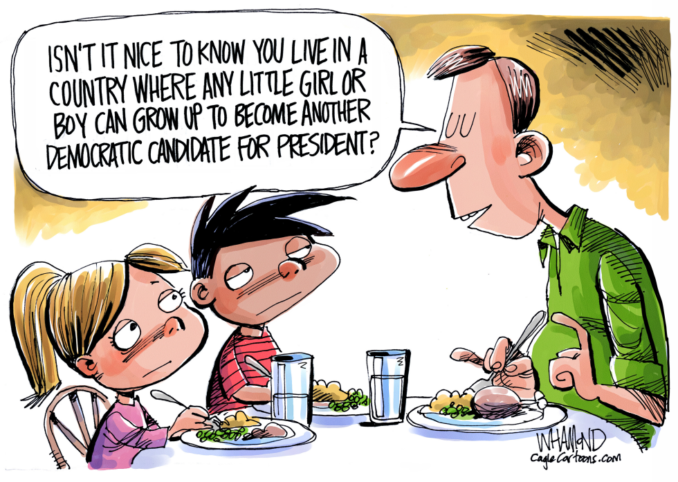  ANYONE CAN RUN FOR PRESIDENT by Dave Whamond