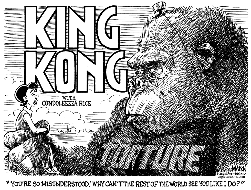  MISUNDERSTOOD U.S. TORTURE POLICY by RJ Matson