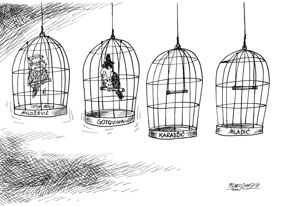 hague cage