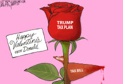 TRUMP TAX PLAN REFUNDS AND BILLS by Jeff Darcy
