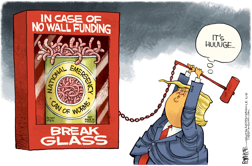  TRUMP NATIONAL EMERGENCY by Rick McKee