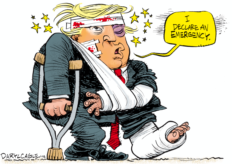 Trump Declares Emergency