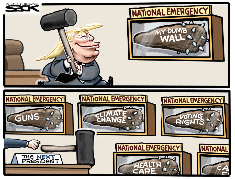  EMERGENCY PREZ by Steve Sack