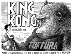 POLITICA DE TORTURA DE USA MALENTENDIDA by R.J. Matson