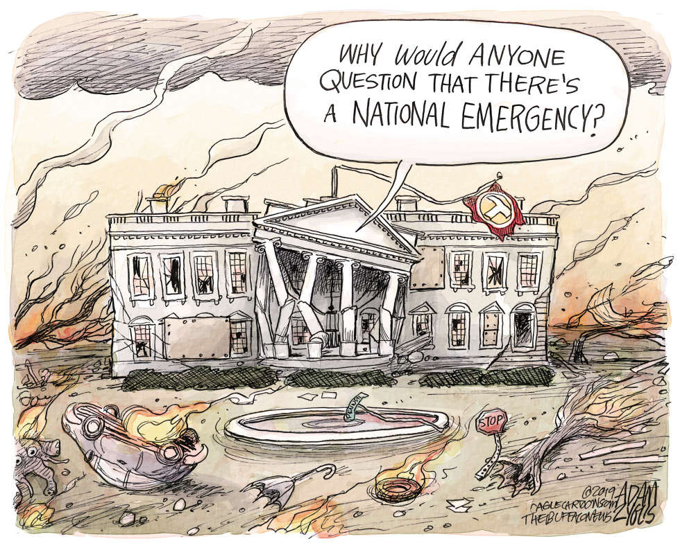  POLITICAL EMERGENCY by Adam Zyglis