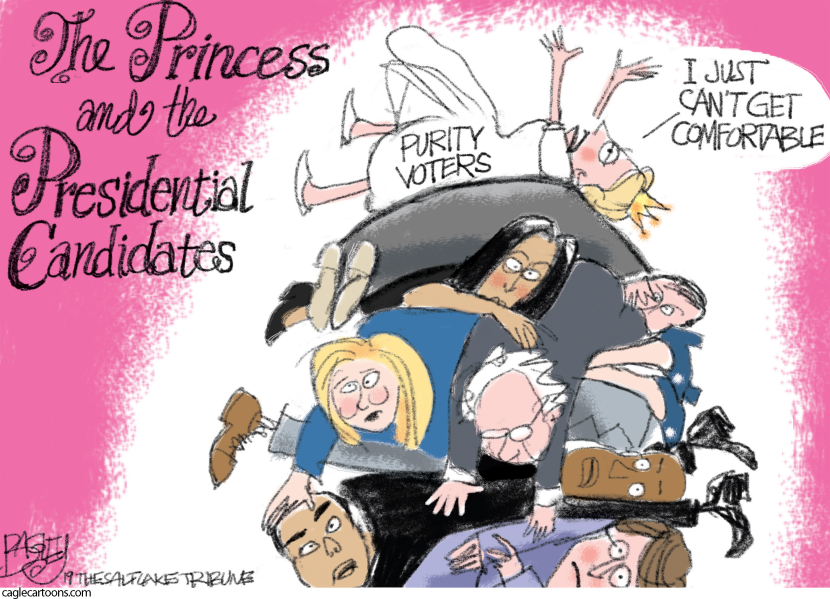 Purity Voters