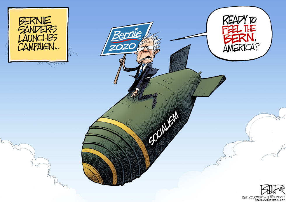 Bernie 2020