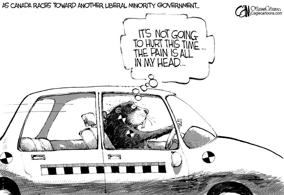 CANADA Crash Test