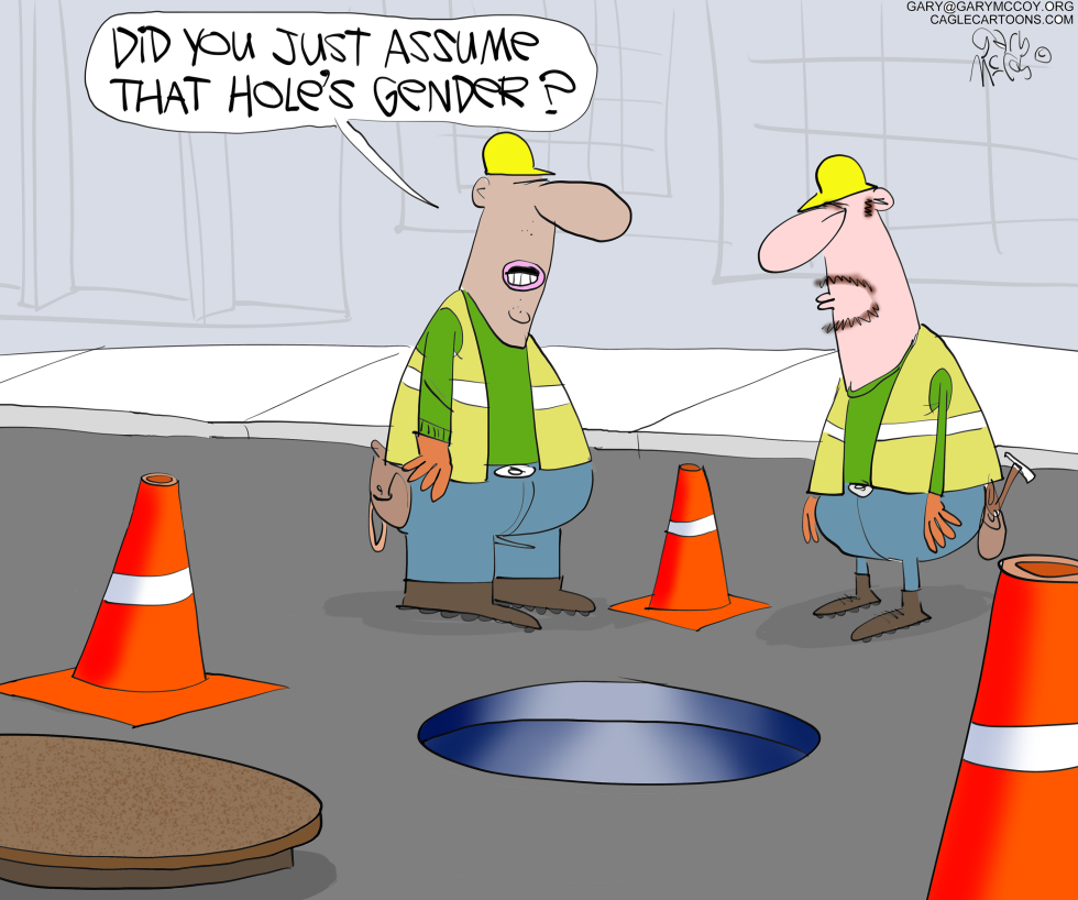 Manhole Gender
